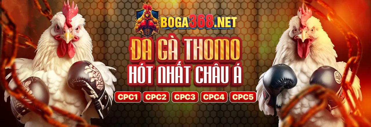 Máy đánh bạc (slot game) phong phú tại ok365 ứng dụng
