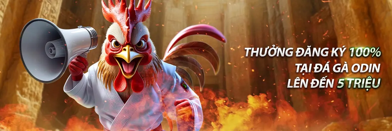 Tính năng bảo mật và công bằng của ok365 App